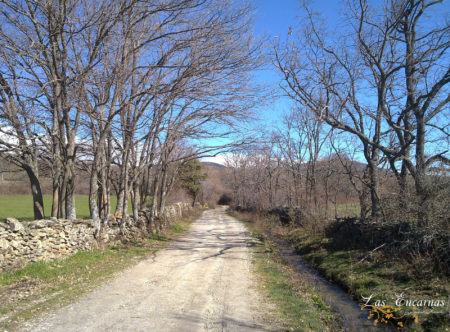 Camino a Braojos en plena Sierra Norte de Madrid