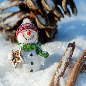 Tarifas Invierno, nieve