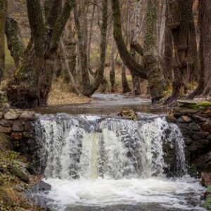 verano, sierra norte, escapada madrid,